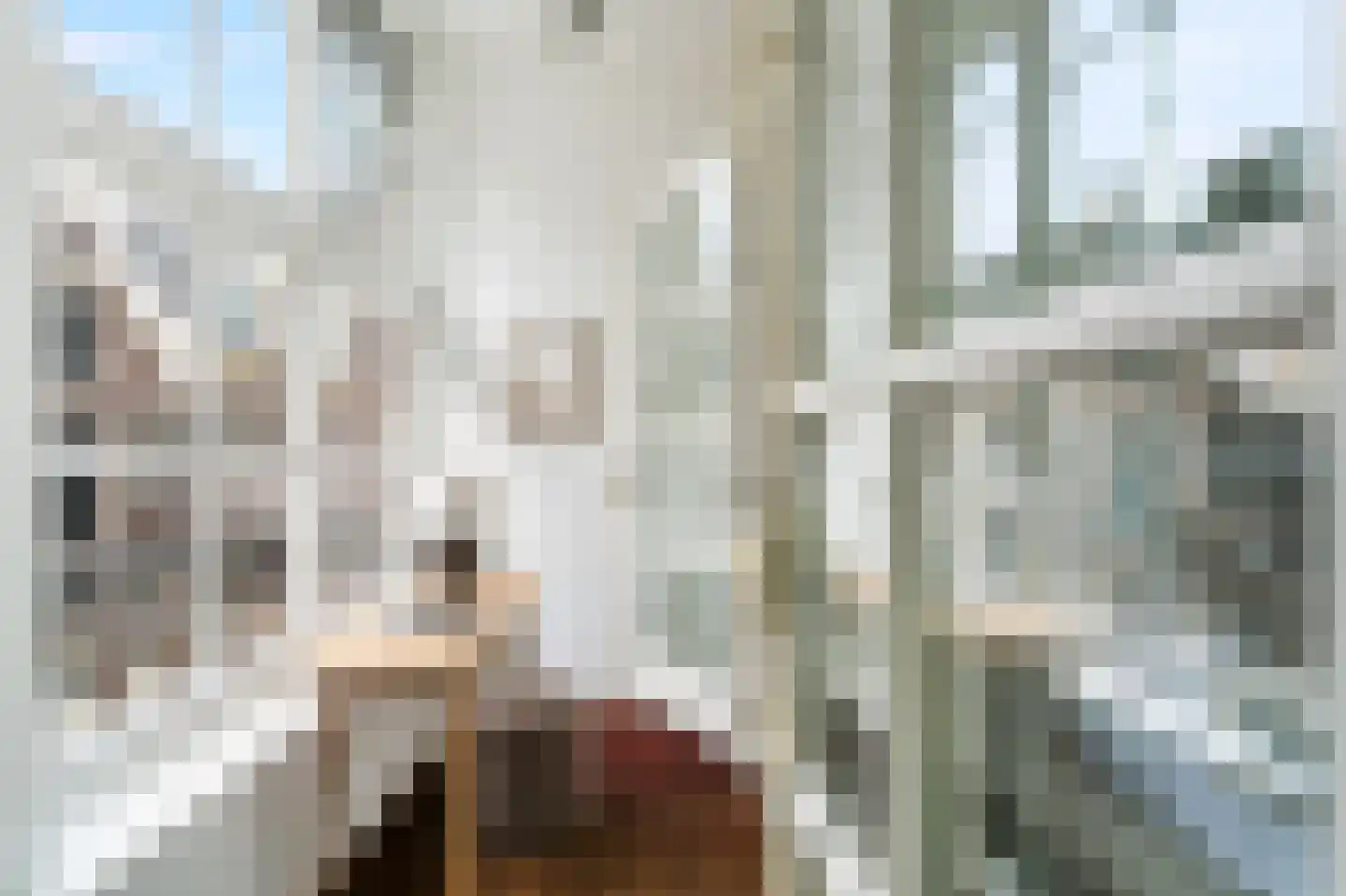 Singel 204 C Amsterdam thumbnail 9