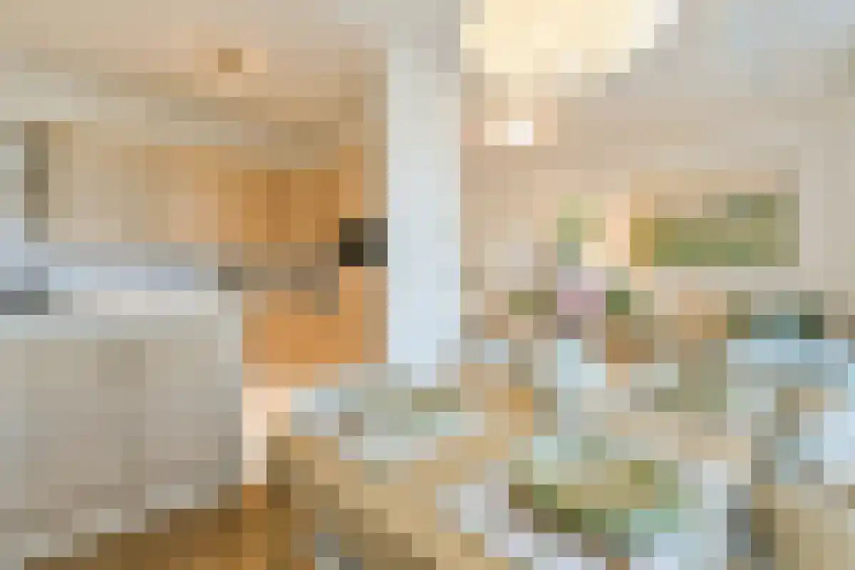 Singel 206 Amsterdam thumbnail 6