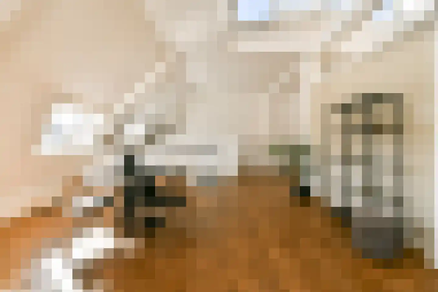 Singel 208 E Amsterdam thumbnail 10