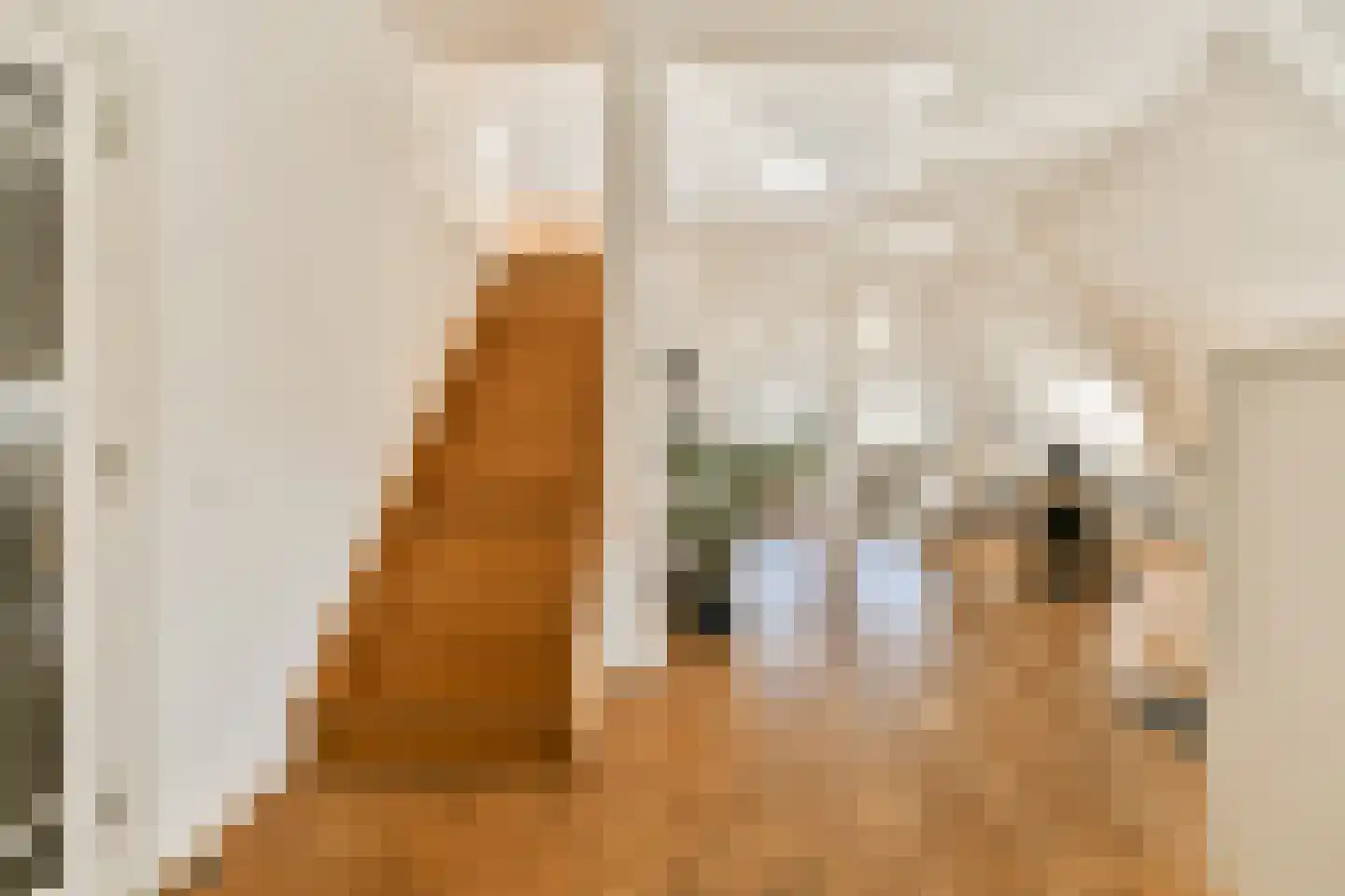 Singel 208 E Amsterdam thumbnail 5