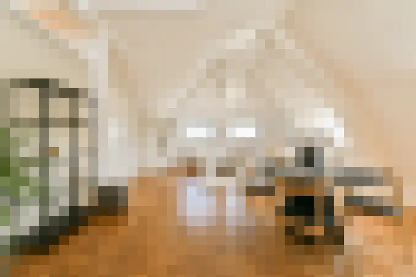 Singel 208 E Amsterdam thumbnail 6
