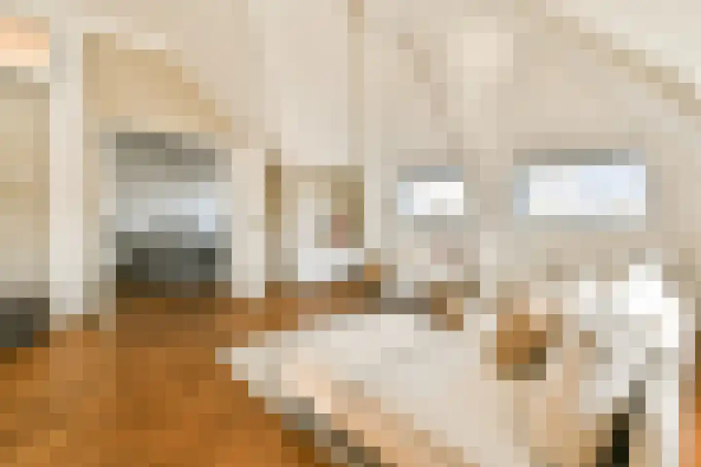 Singel 208 E Amsterdam thumbnail 8