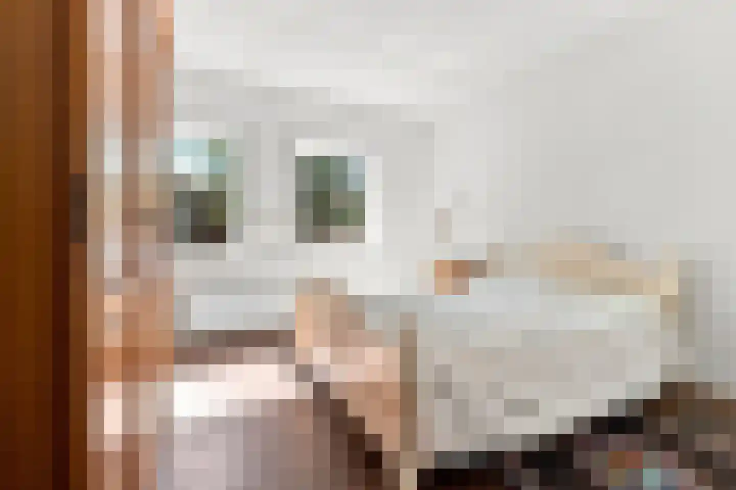 Singel 21 Vlissingen thumbnail 10