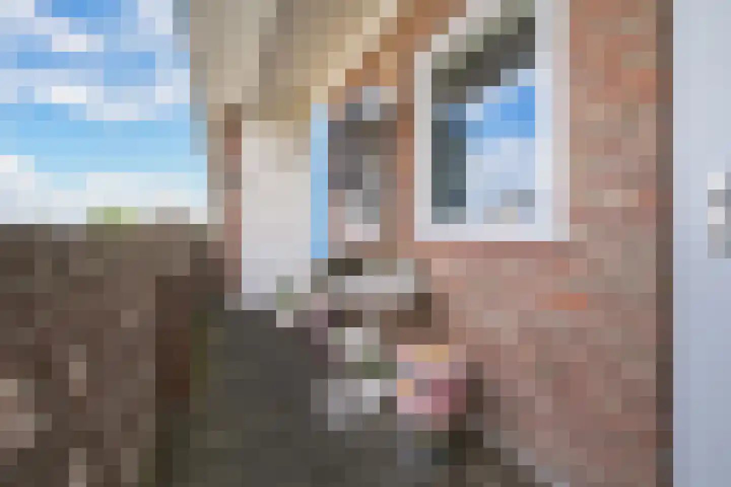 Singel 21 Vlissingen thumbnail 6