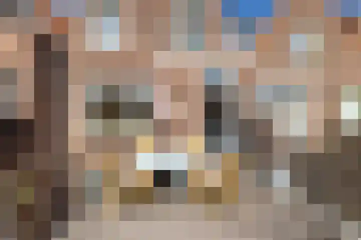 Singel 218 Vlissingen thumbnail 37
