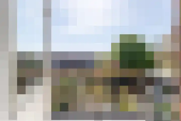 Singel 218 Vlissingen thumbnail 43