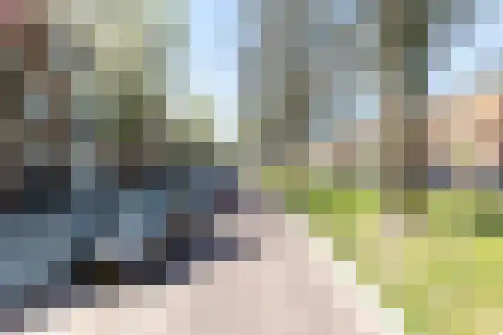 Singel 218 Vlissingen thumbnail 5