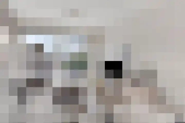Singel 22 Hoogezand thumbnail 4