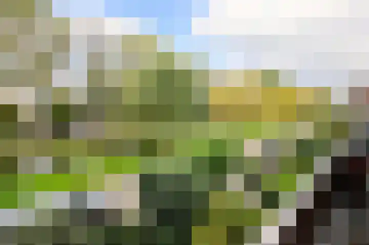 Singel 22 Nieuwerkerk aan den IJssel thumbnail 20