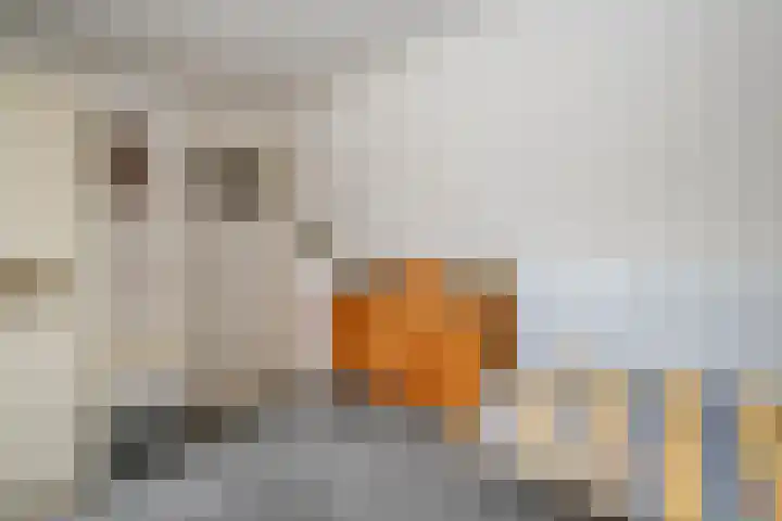 Singel 22 Nieuwerkerk aan den IJssel thumbnail 25