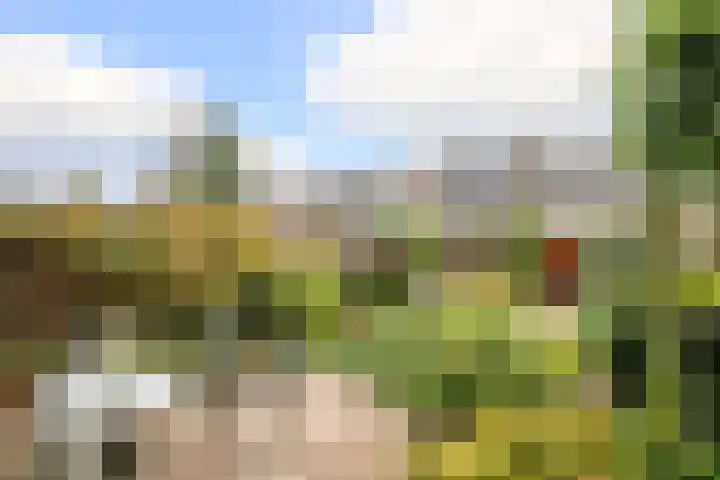 Singel 22 Nieuwerkerk aan den IJssel thumbnail 26