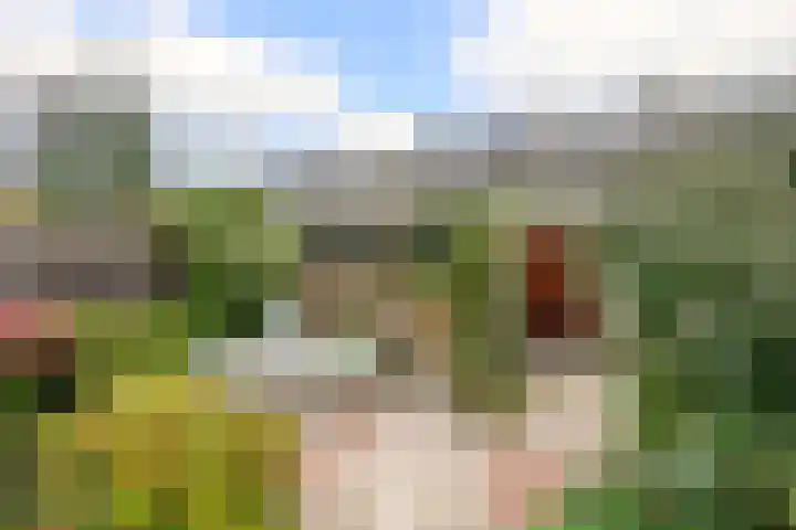 Singel 22 Nieuwerkerk aan den IJssel thumbnail 29