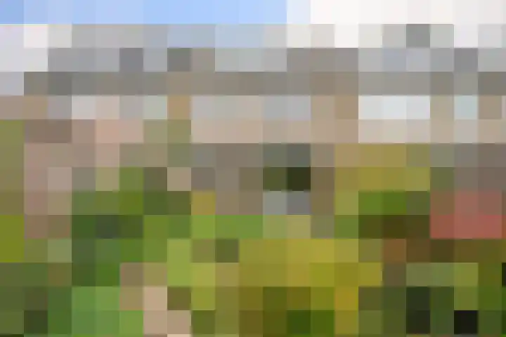 Singel 22 Nieuwerkerk aan den IJssel thumbnail 30