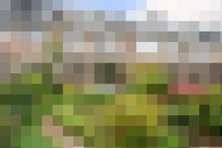 Singel 22 Nieuwerkerk aan den IJssel thumbnail 31