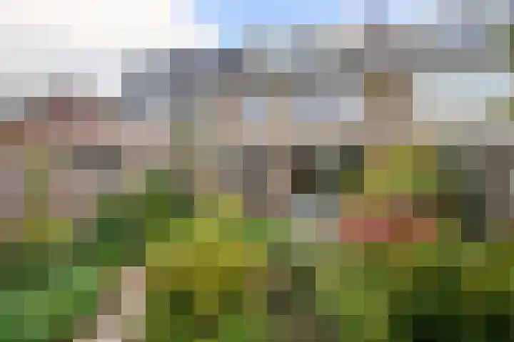 Singel 22 Nieuwerkerk aan den IJssel thumbnail 35