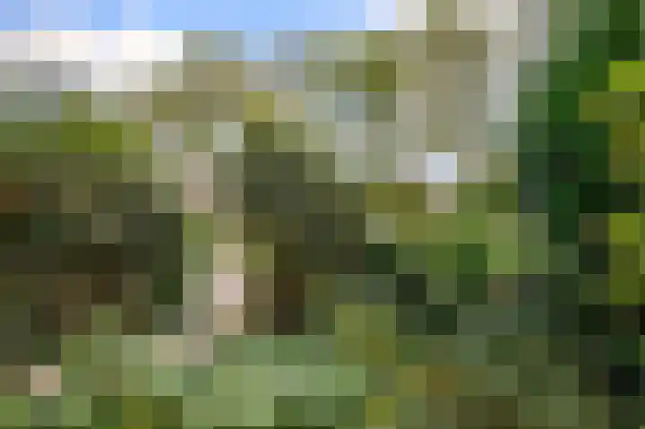 Singel 22 Nieuwerkerk aan den IJssel thumbnail 37