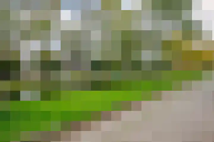 Singel 22 Nieuwerkerk aan den IJssel thumbnail 40