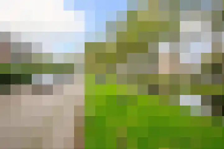 Singel 22 Nieuwerkerk aan den IJssel thumbnail 41