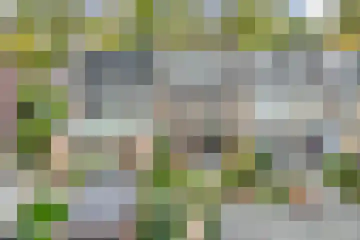 Singel 22 Nieuwerkerk aan den IJssel thumbnail 43