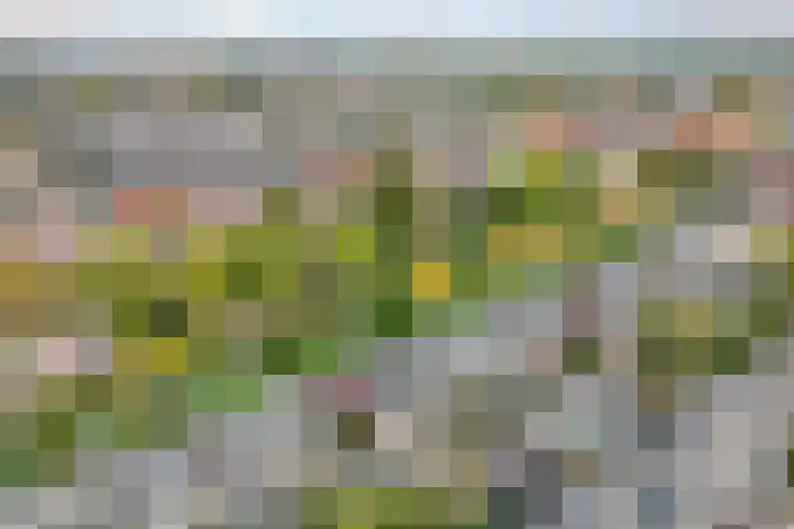 Singel 22 Nieuwerkerk aan den IJssel thumbnail 47