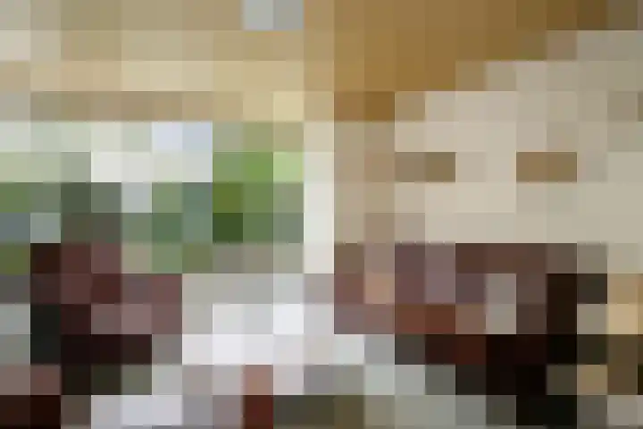 Singel 22 Nieuwerkerk aan den IJssel thumbnail 5