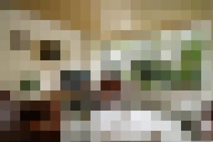 Singel 22 Nieuwerkerk aan den IJssel thumbnail 6