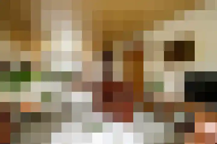 Singel 22 Nieuwerkerk aan den IJssel thumbnail 7