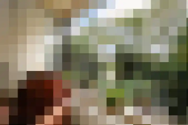 Singel 22 Nieuwerkerk aan den IJssel thumbnail 8