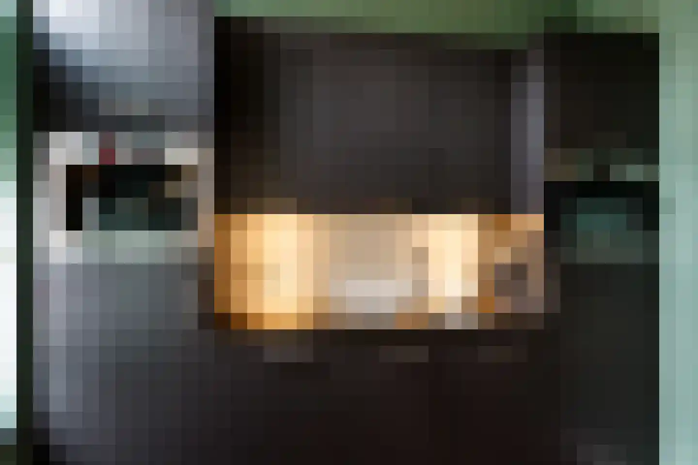 Singel 22 Wijk bij Duurstede thumbnail 10