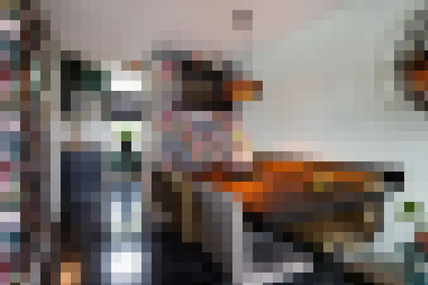 Singel 22 Wijk bij Duurstede thumbnail 11