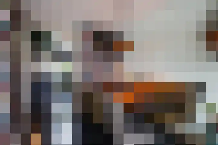 Singel 22 Wijk bij Duurstede thumbnail 11