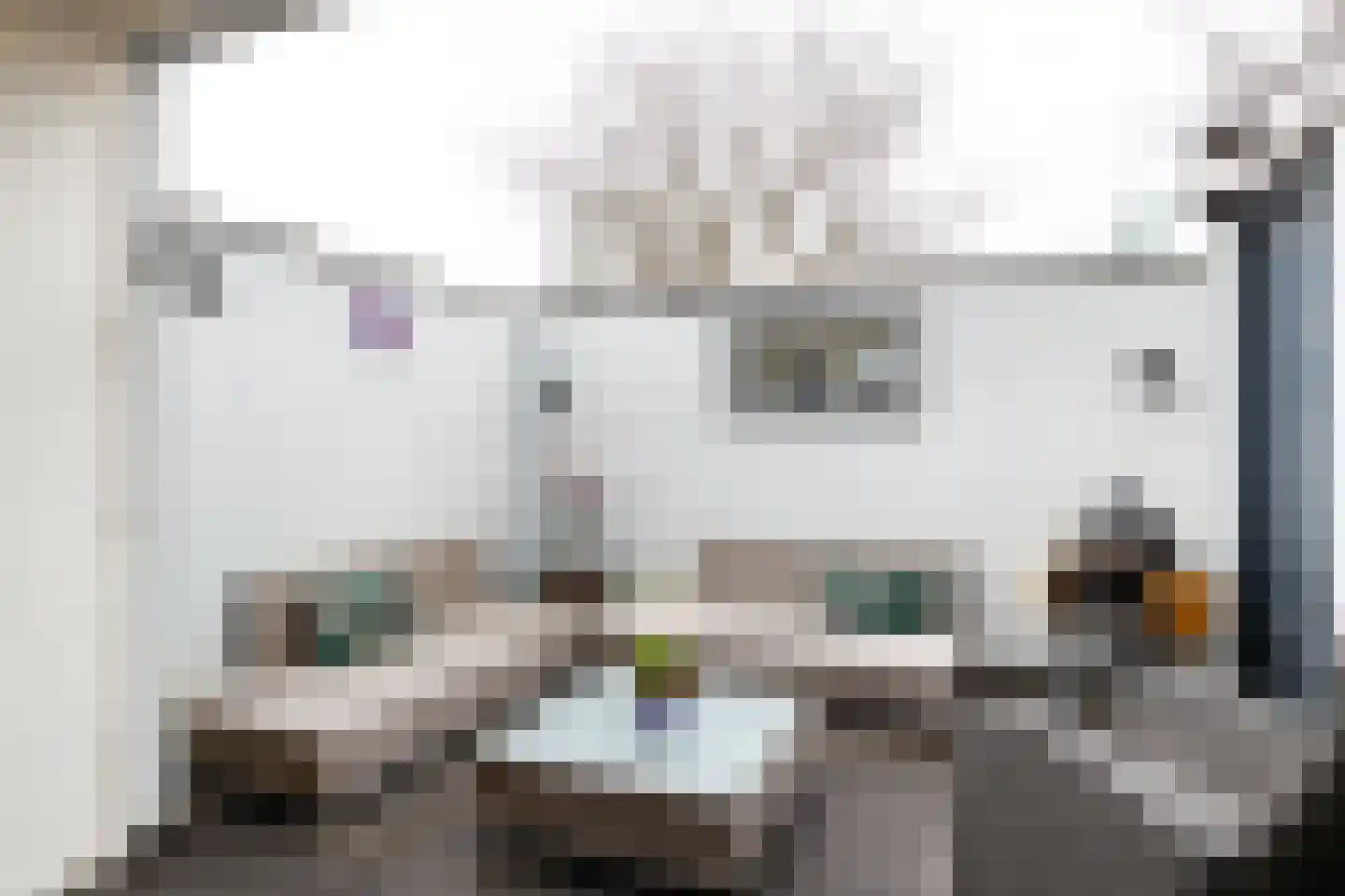 Singel 22 Wijk bij Duurstede thumbnail 16