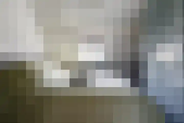 Singel 22 Wijk bij Duurstede thumbnail 18