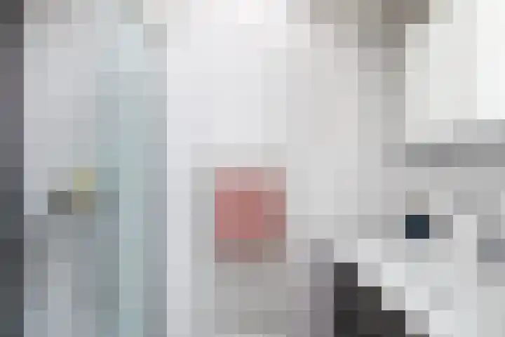 Singel 22 Wijk bij Duurstede thumbnail 19