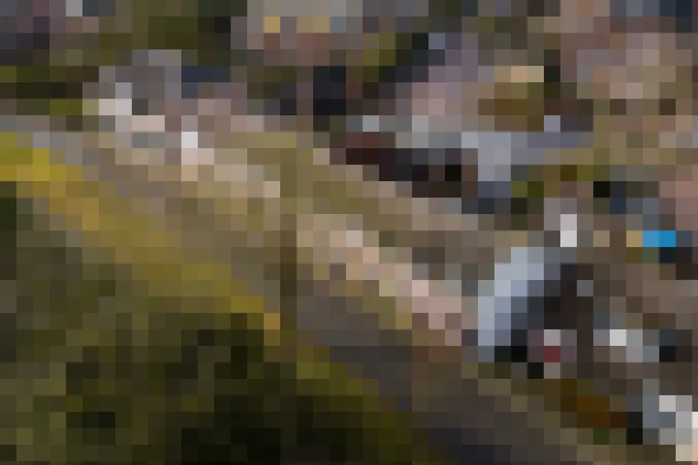 Singel 22 Wijk bij Duurstede thumbnail 24