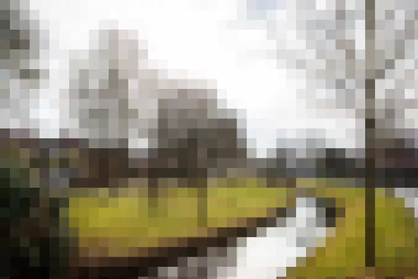 Singel 22 Wijk bij Duurstede thumbnail 25