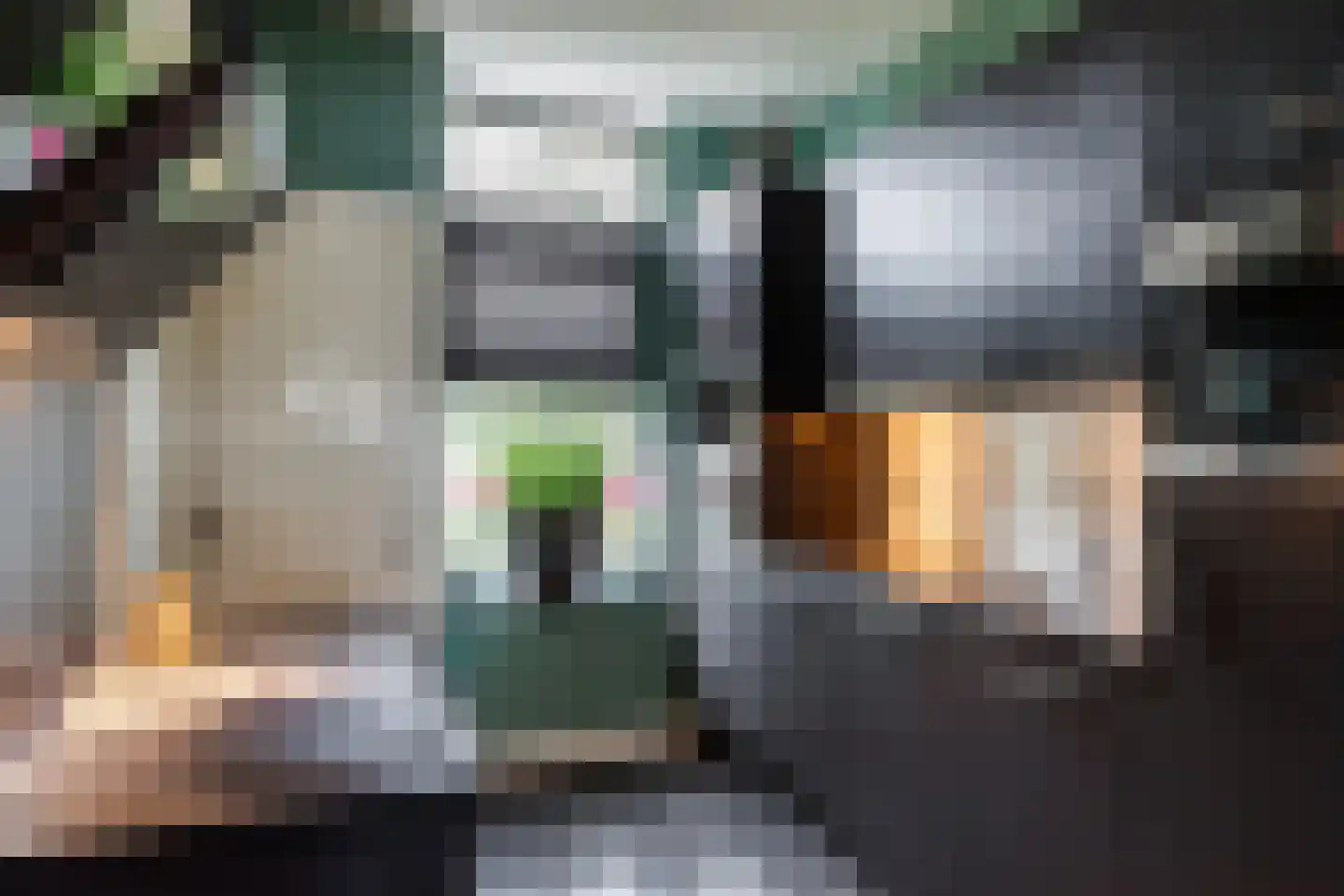 Singel 22 Wijk bij Duurstede thumbnail 8