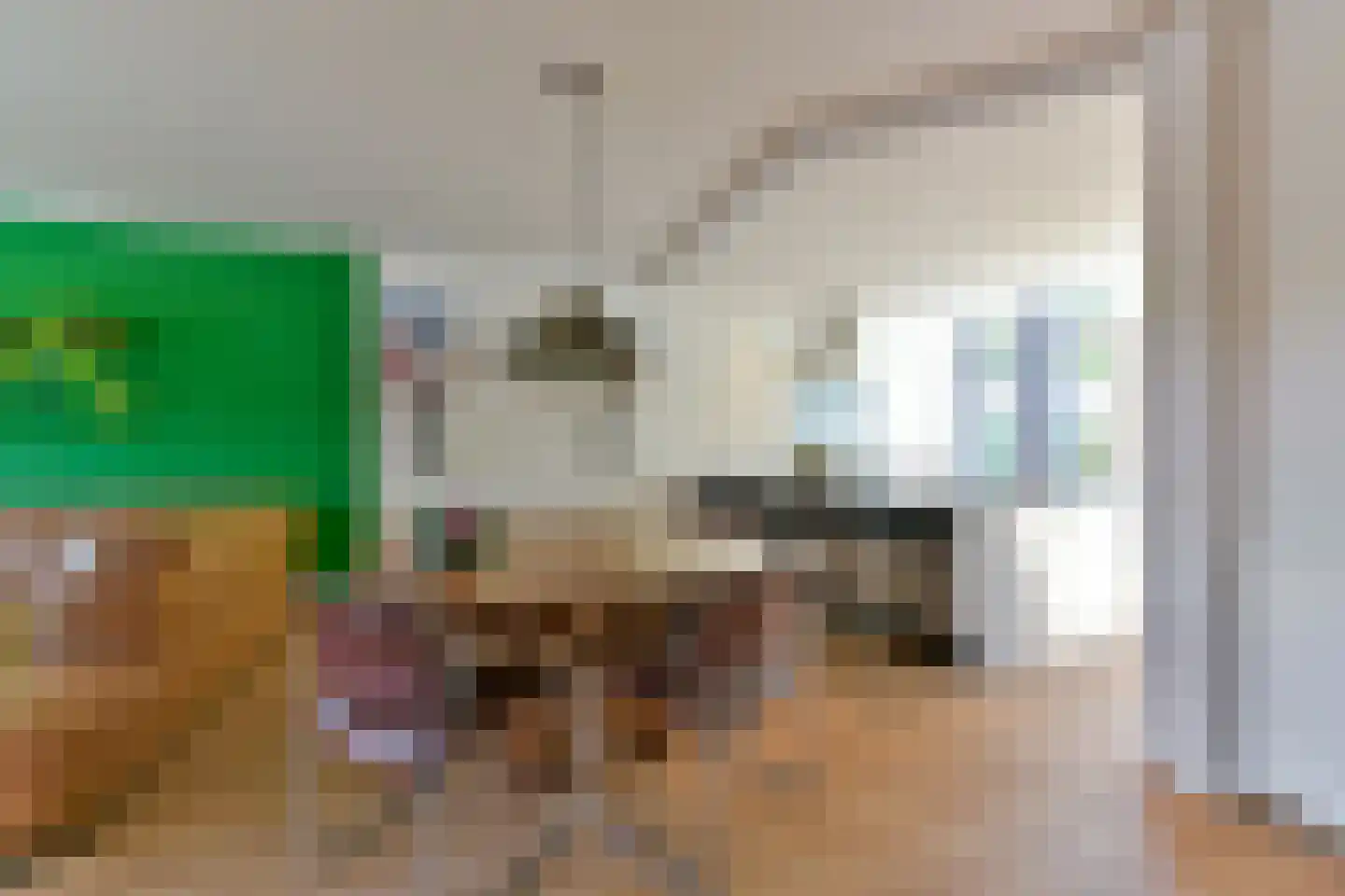 Singel 23 Odijk thumbnail 15