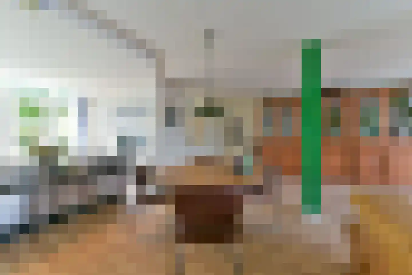 Singel 23 Odijk thumbnail 15