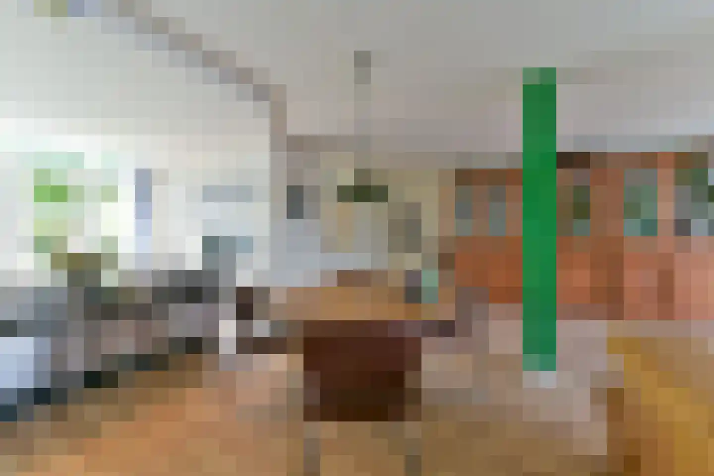 Singel 23 Odijk thumbnail 16