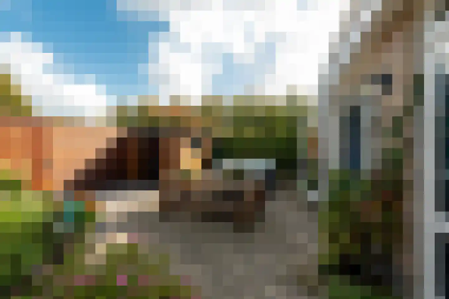 Singel 23 Odijk thumbnail 34