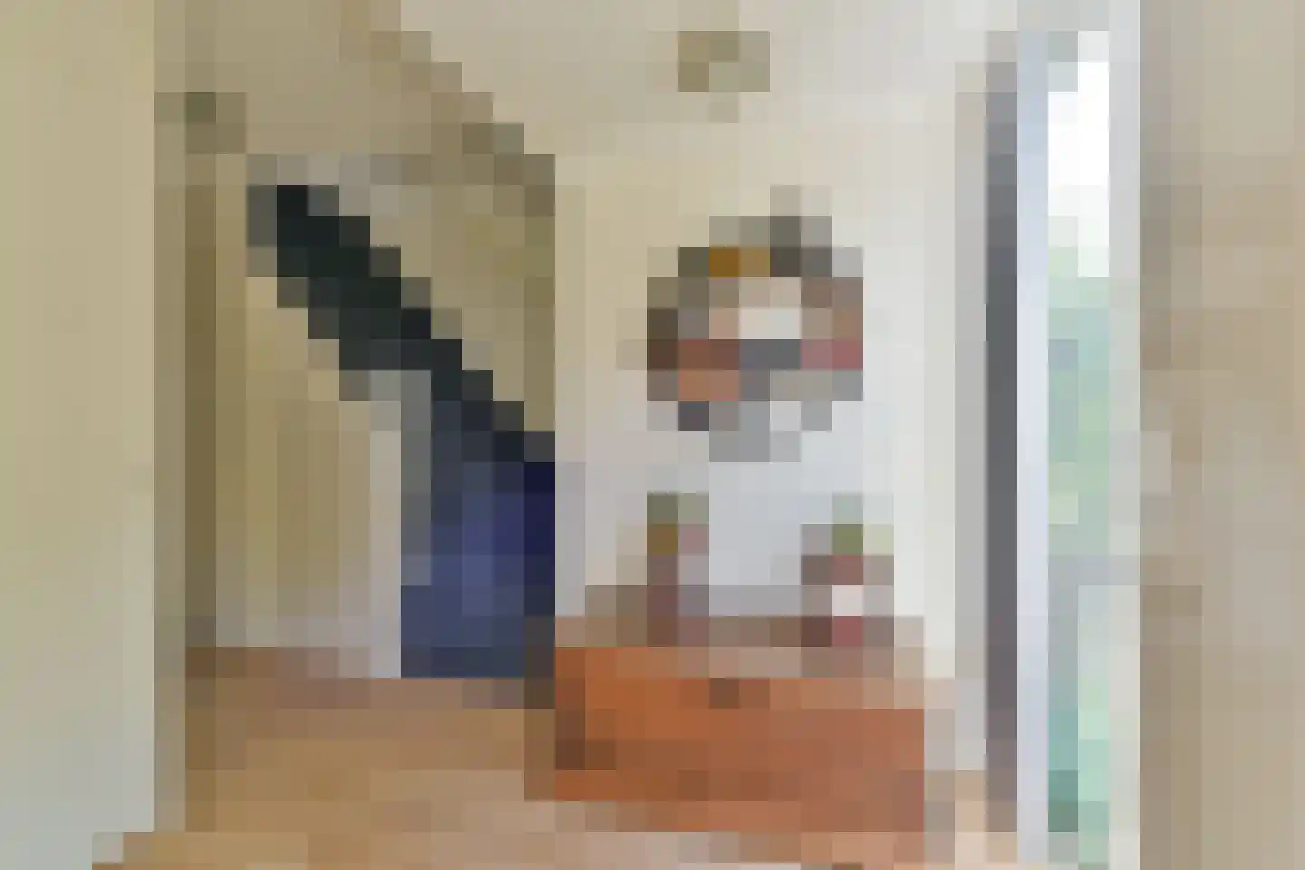 Singel 23 Odijk thumbnail 4