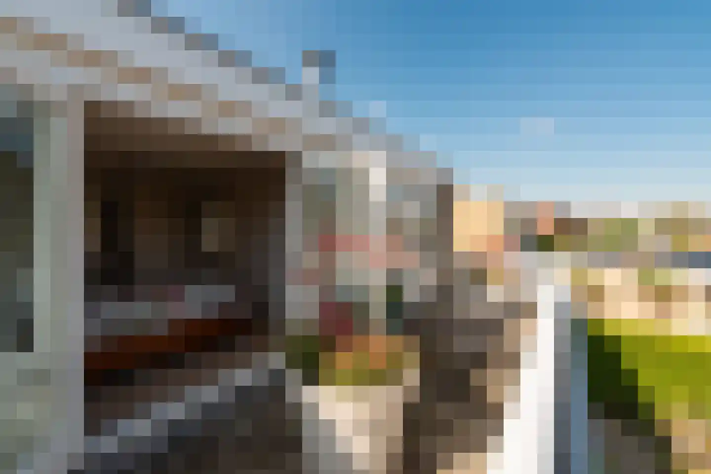 Singel 23 Odijk thumbnail 43