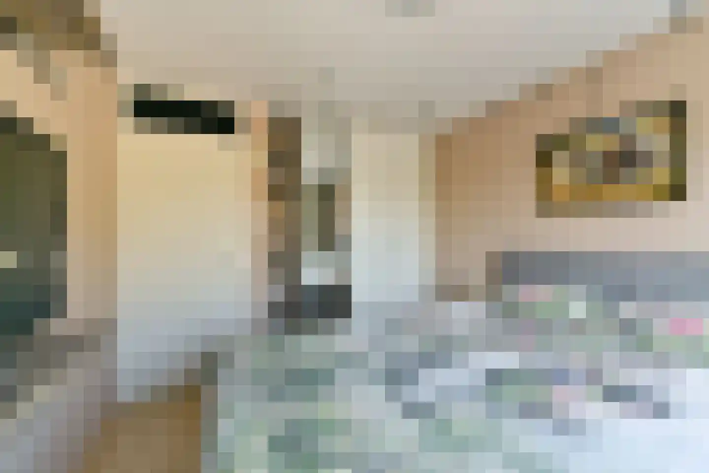 Singel 23 Odijk thumbnail 44