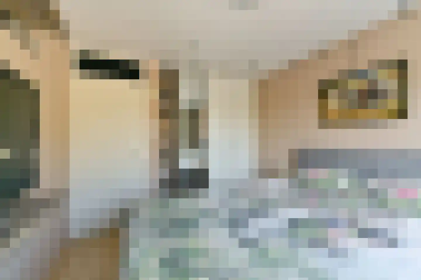 Singel 23 Odijk thumbnail 46