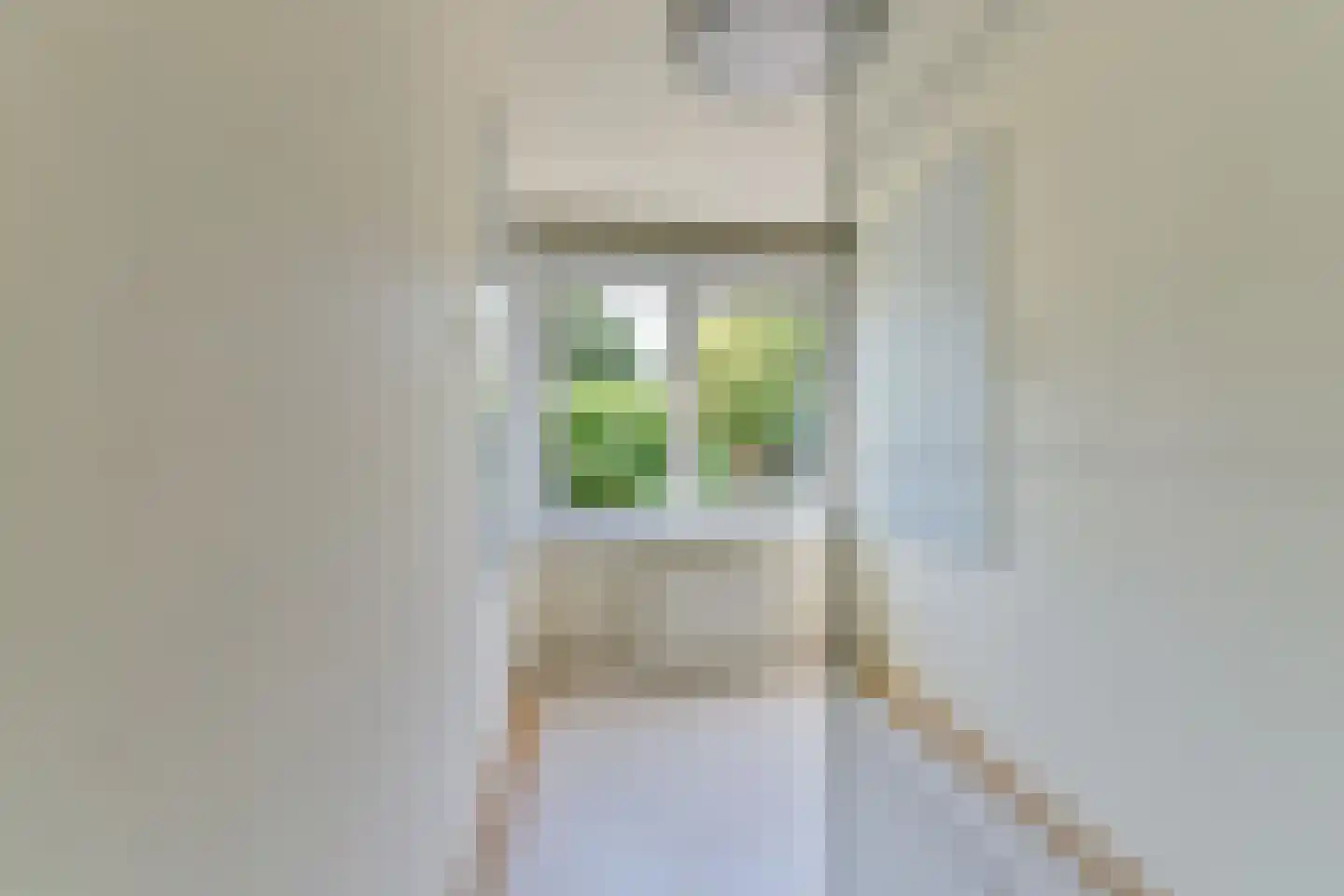 Singel 23 Odijk thumbnail 48