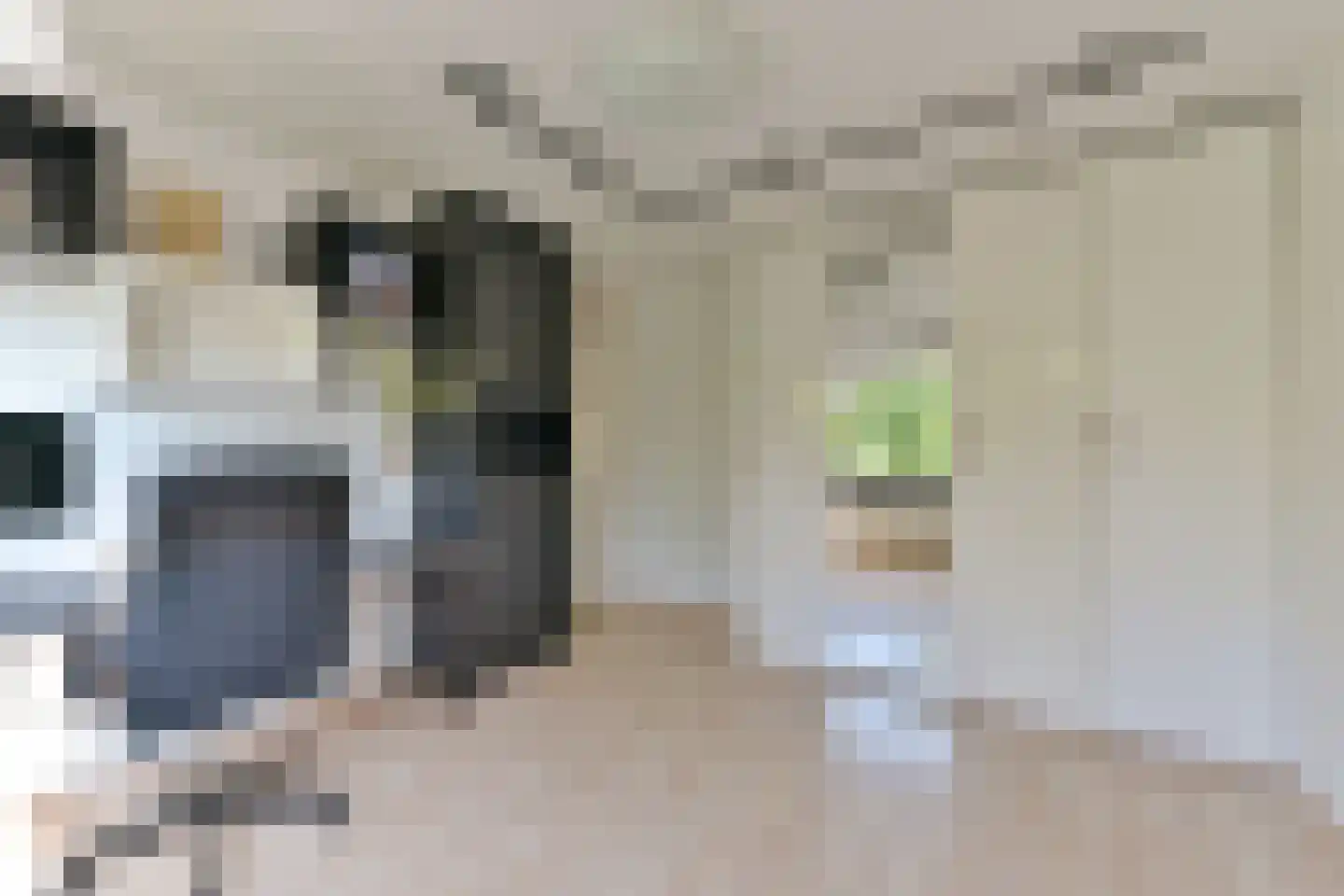 Singel 23 Odijk thumbnail 49