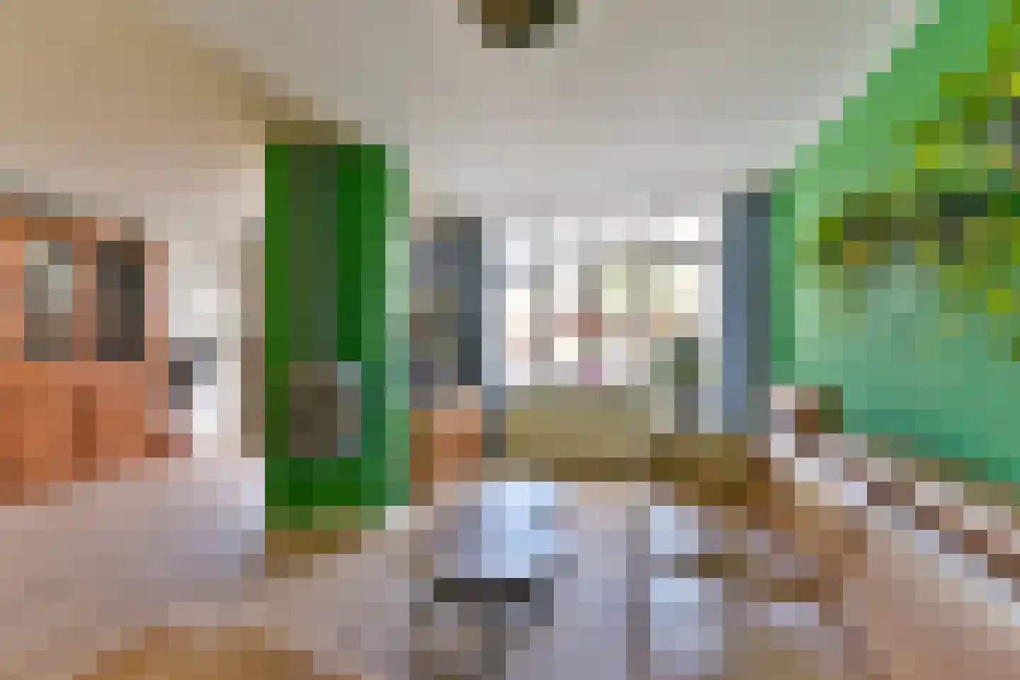Singel 23 Odijk thumbnail 9