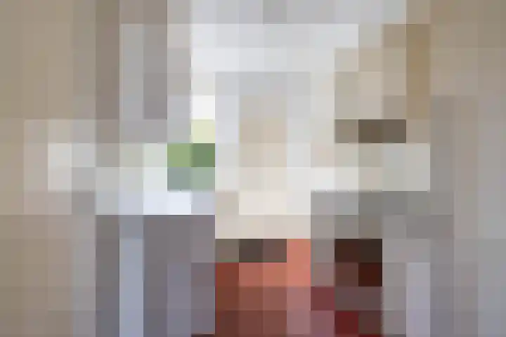 Singel 23 Stedum thumbnail 12