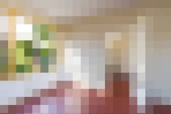 Singel 23 Stedum thumbnail 15